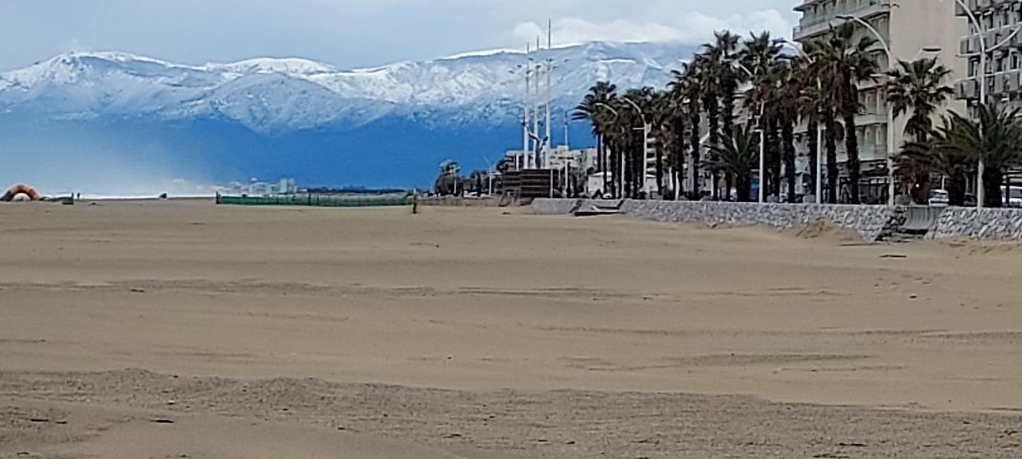 Chambres D'Hotes Un Ete Sans Fin A 50 M De La Plage A Canet Plage Εξωτερικό φωτογραφία
